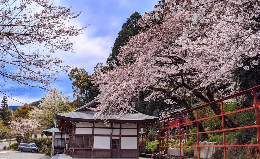 ⛩️ 히네 신사(히네진자) 이미지 4